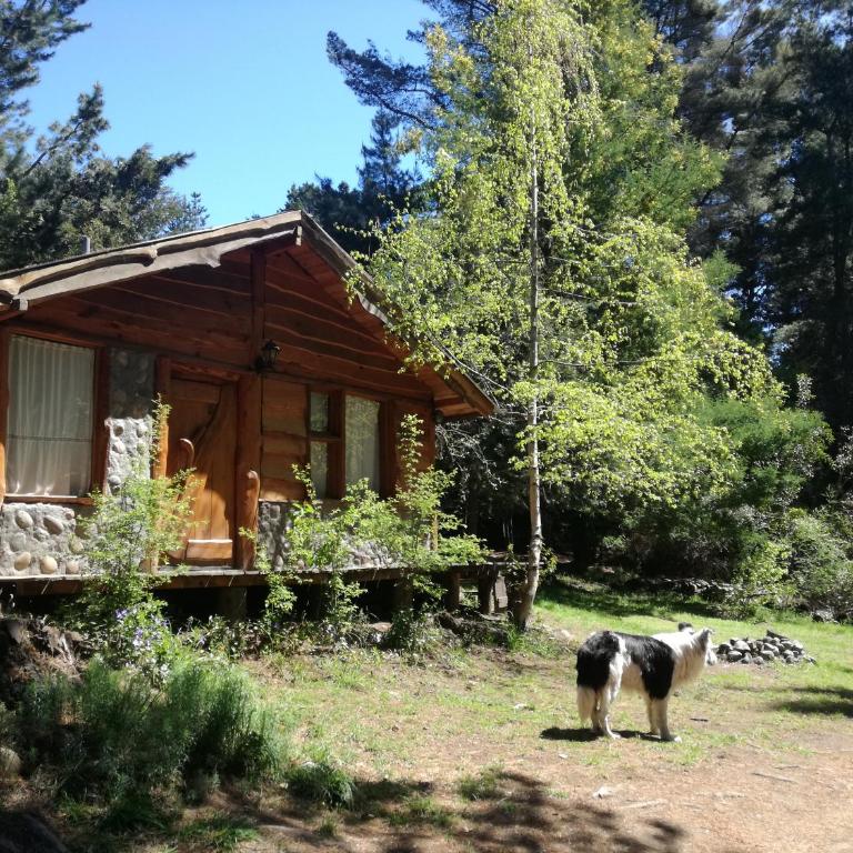 Mirador del Valle - One-Bedroom House - 1
