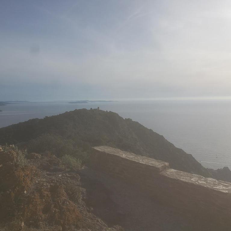 Six-fours les plages - One-Bedroom Apartment - 15