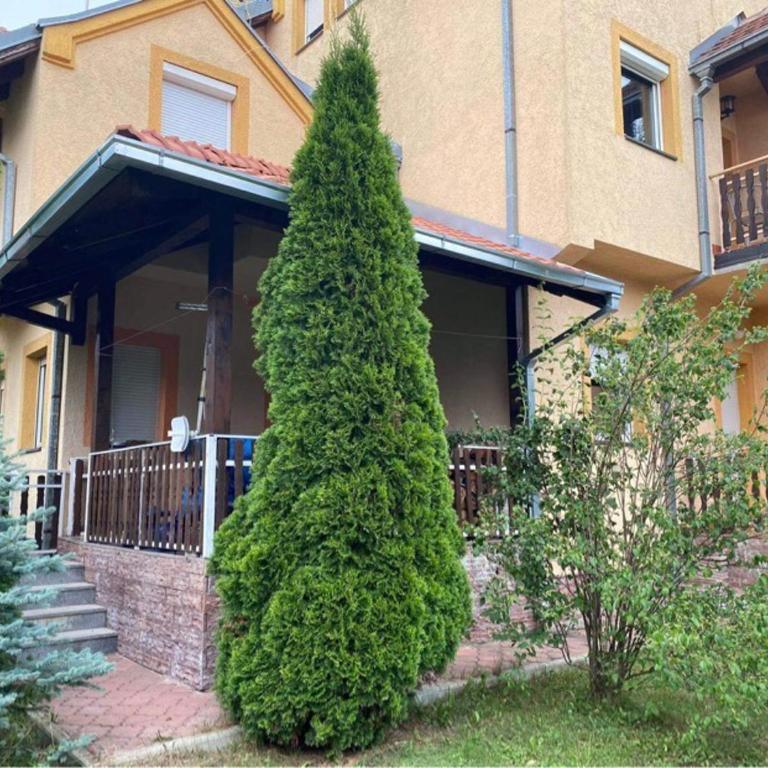 Pino Munika apartman - Apartment with Garden View - 6