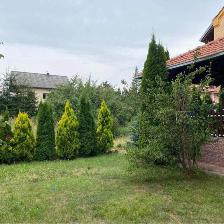 Pino Munika apartman - Apartment with Garden View - 18