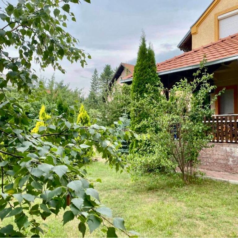 Pino Munika apartman - Apartment with Garden View - 4