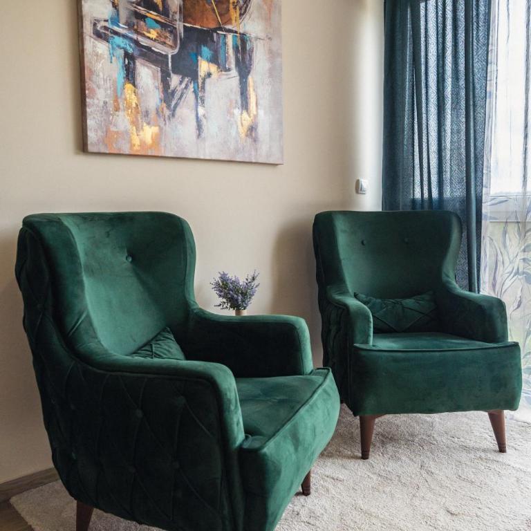Apartman Ambijent Divcibare - Deluks Studio sa Queen Krevetom - 7