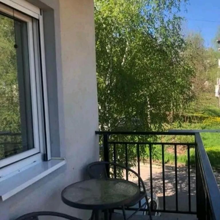 Apartman Sokobanja Borići - Apartment with Terrace - 1