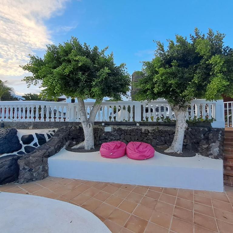 Comfortable Cleo apartment with large terrace - Apartamento de 1 dormitorio - 35