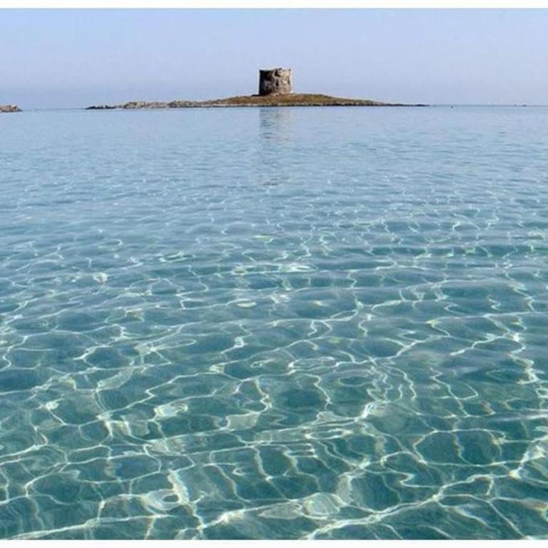 L' Elicriso, a pochi passi dal mare con giardino privato - The Elicriso, a few meters from the sea, with private garden - Appartamento con 1 Camera da Letto - 51