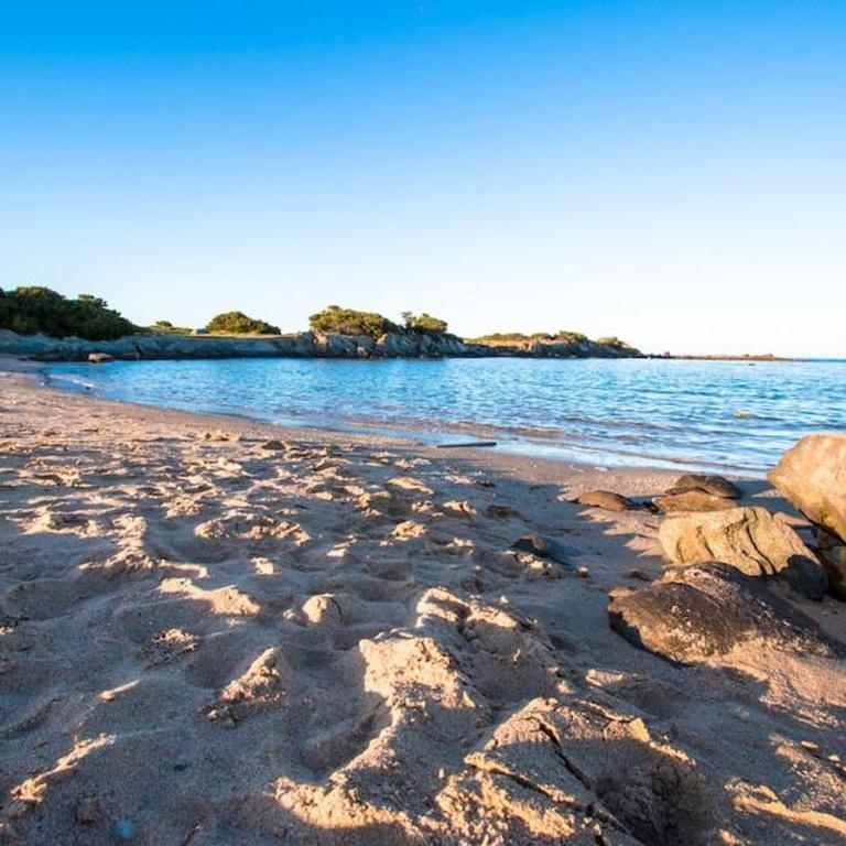 L' Elicriso, a pochi passi dal mare con giardino privato - The Elicriso, a few meters from the sea, with private garden - Appartamento con 1 Camera da Letto - 54