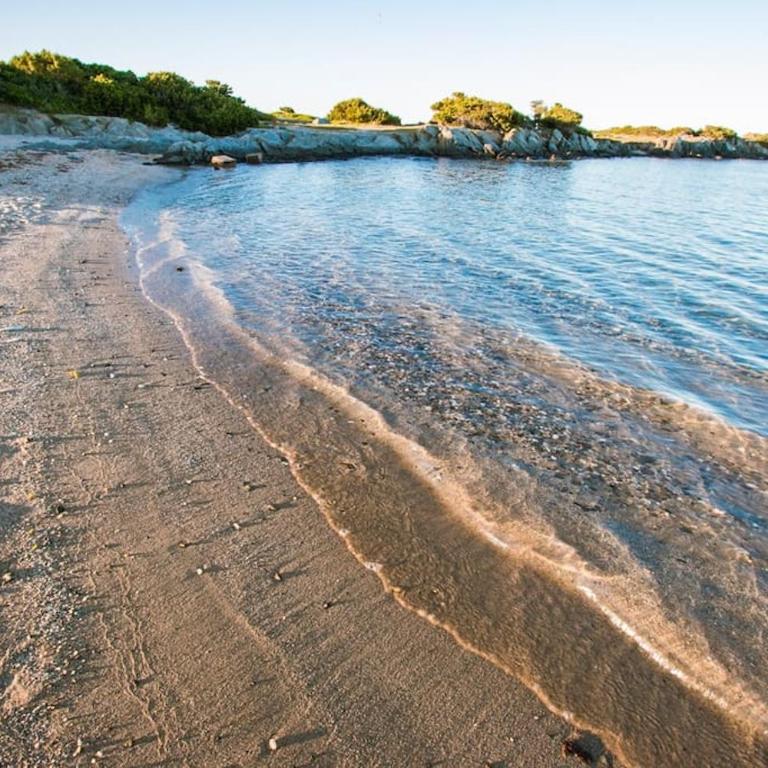 L' Elicriso, a pochi passi dal mare con giardino privato - The Elicriso, a few meters from the sea, with private garden - Appartamento con 1 Camera da Letto - 53