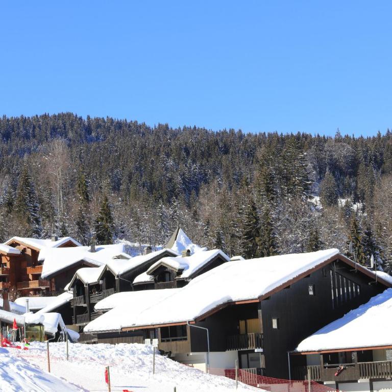 Grand Morillon- C215 Appt vue piste-4 pers - Studio - 14