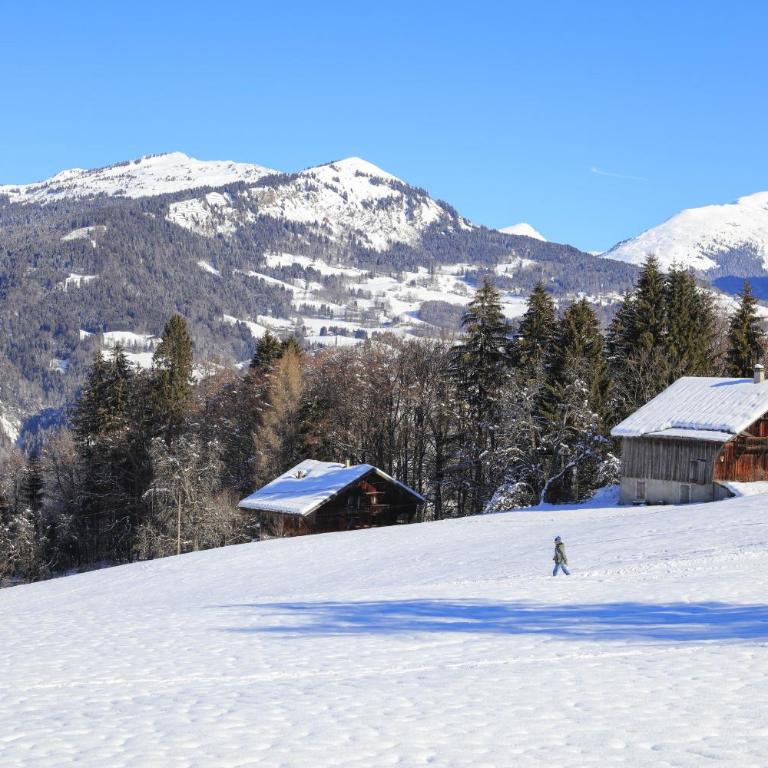 Les Sitelles - 11 - Piscine Appart 6 pers - Appartement - 16