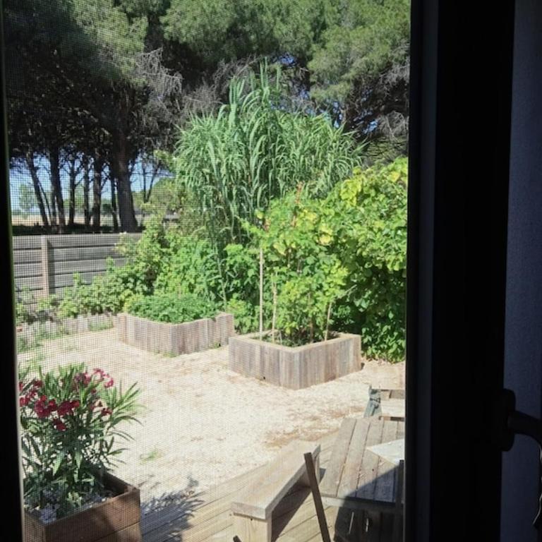 Corner of paradise with heated swimming pool - Villa 3 Chambres - 50
