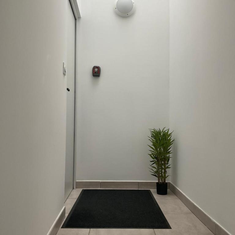 Les Demoiselles de la Tour ! - Appartement 2 Chambres - 28