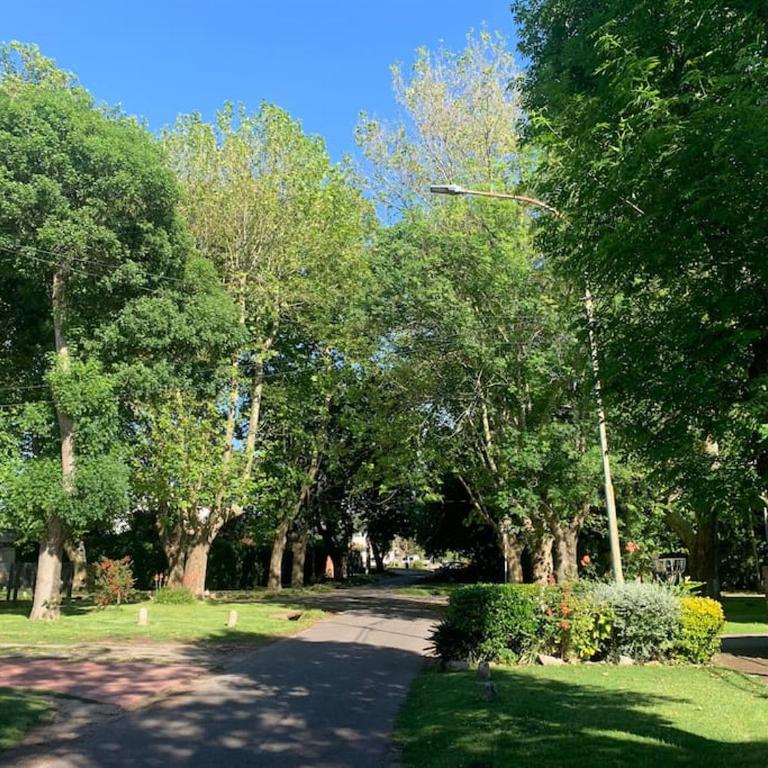 Mar y Asados - Chalet hasta 19 huéspedes con dos Parrillas - Casa - 54