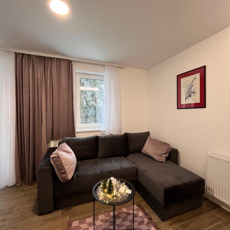 Apartmani Divila - Apartman sa 1 Spavaćom Sobom - 5
