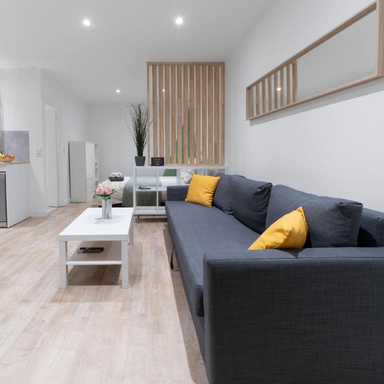 ※Perrier Fraise※ Coeur de ville ⁕ Appt d'exception - Appartement 1 Chambre - 7