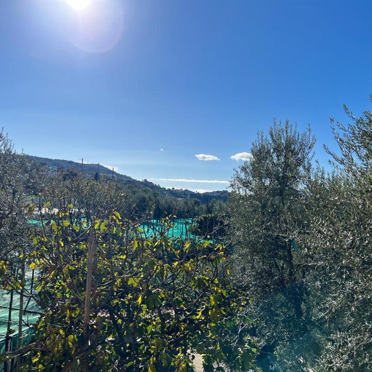 Casa Vacanze Il Frutteto - Three-Bedroom House - 10