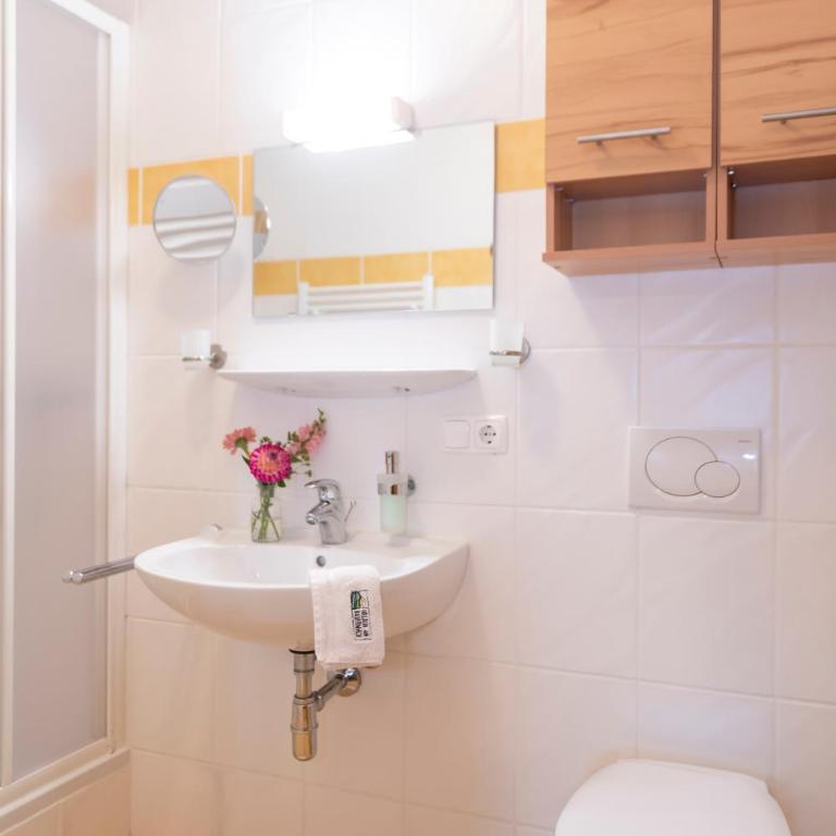 Hartlhof Urlaub am Baby- und Kinderbauernhof - Apartment mit 3 Schlafzimmern - 7