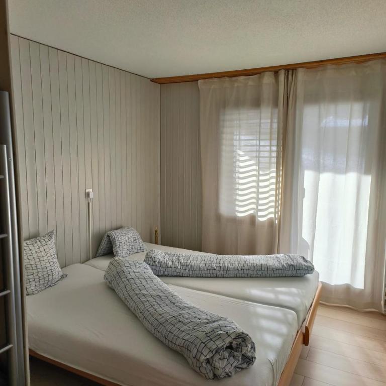 Ferienwohnung Nr.22,Haus Azurit - Appartamento con 1 Camera da Letto, Balcone e Vista Montagna - 7