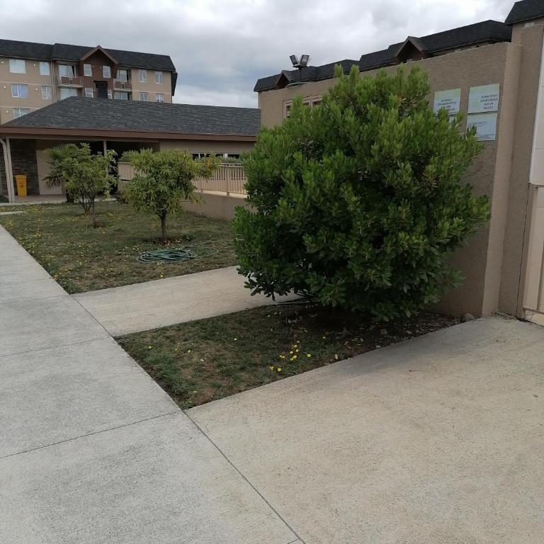 Cómodo Departamento en Villarrica - Apartamento de 2 dormitorios - 20