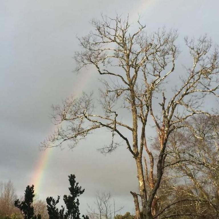 Casa del bosque en la ciudad - Apartment - 22