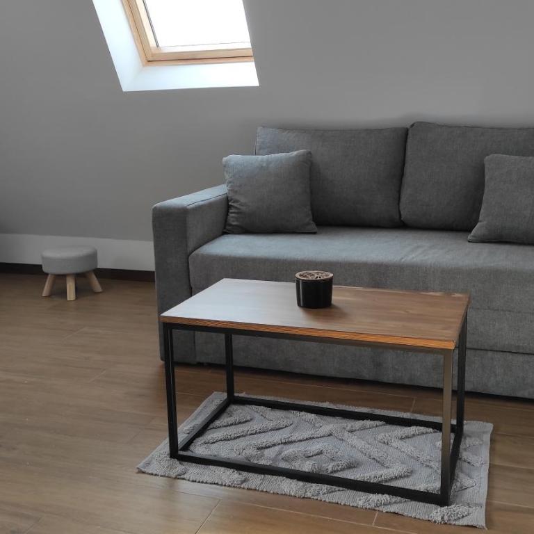 Dva Jelena - Apartman sa Terasom - 6