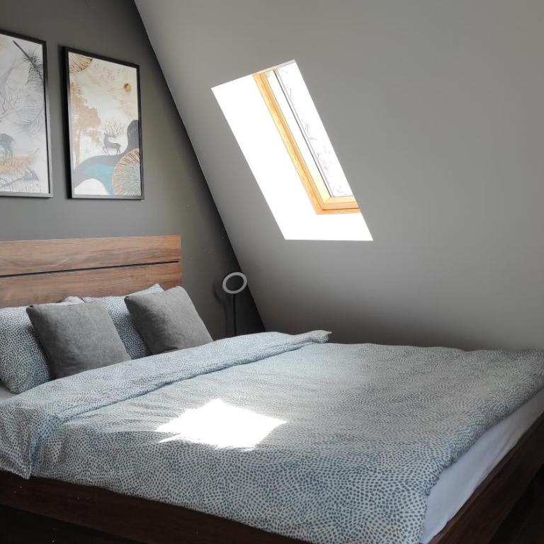 Dva Jelena - Apartman sa Terasom - 4