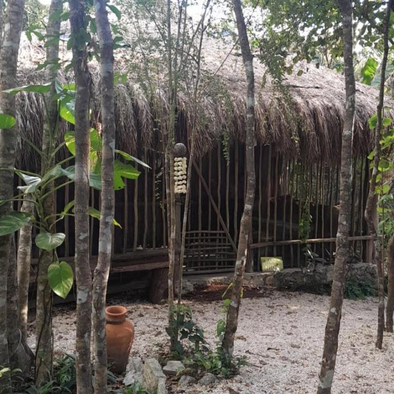 Aldea Yuyu - Cabaña de 1 dormitorio - 9