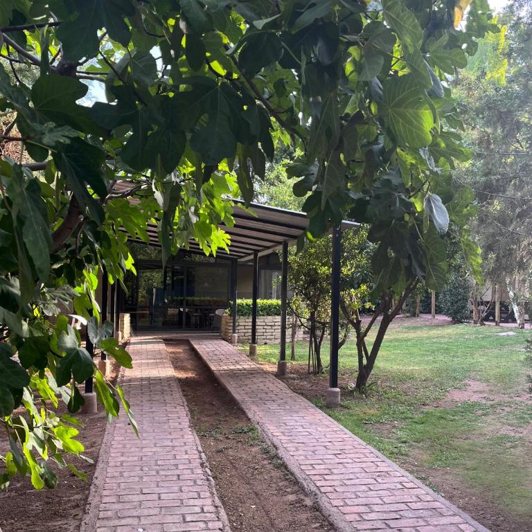 Casa en Chacras de Coria - zona de Bodegas - Casa de 4 dormitorios - 11