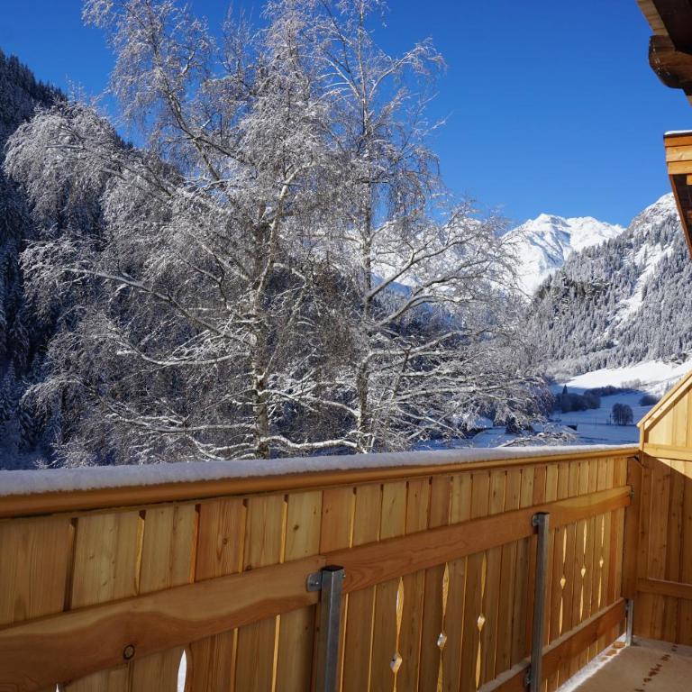 Seeberhof - Appartamento con 1 Camera da Letto - 6