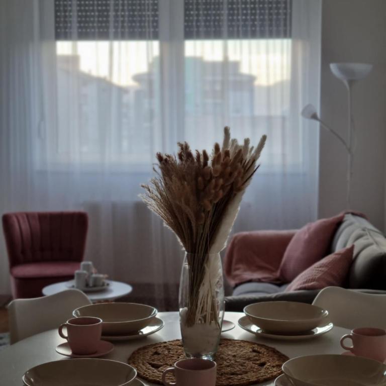 Cozy Home Apartment Banja Luka - Apartman sa 1 Spavaćom Sobom - 12