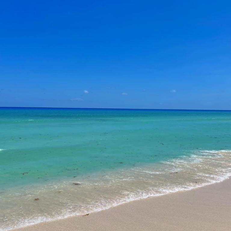 Renovated Studio in Cancun Beach at the Hotel Zone - One-Bedroom Apartment - 55