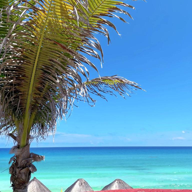 Renovated Studio in Cancun Beach at the Hotel Zone - One-Bedroom Apartment - 65