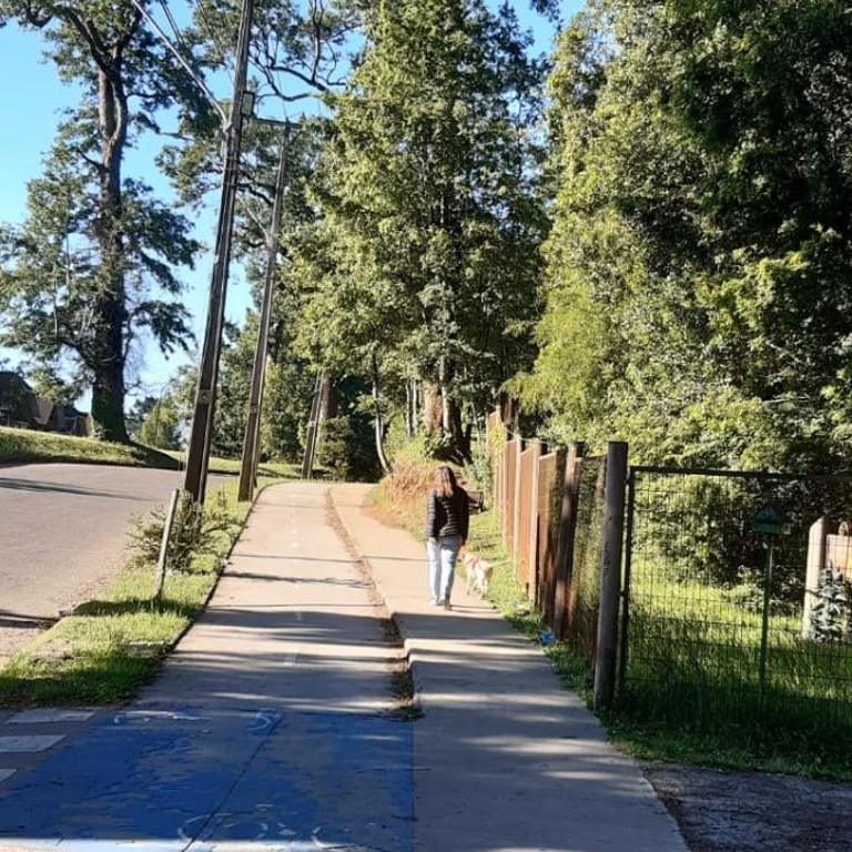 Cabañas Rucapillan del Bosque - One-Bedroom Apartment - 4