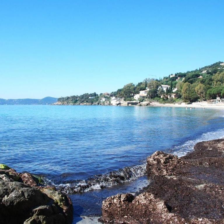 Studio cabine avec terrasse et parking, à 250 m de la plage d'Aiguebelle, Le Lavandou - FR-1-251-187 - Appartamento (4 Adulti) - 11