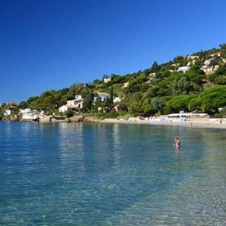 Studio cabine avec terrasse et parking, à 250 m de la plage d'Aiguebelle, Le Lavandou - FR-1-251-187 - Appartamento (4 Adulti) - 12
