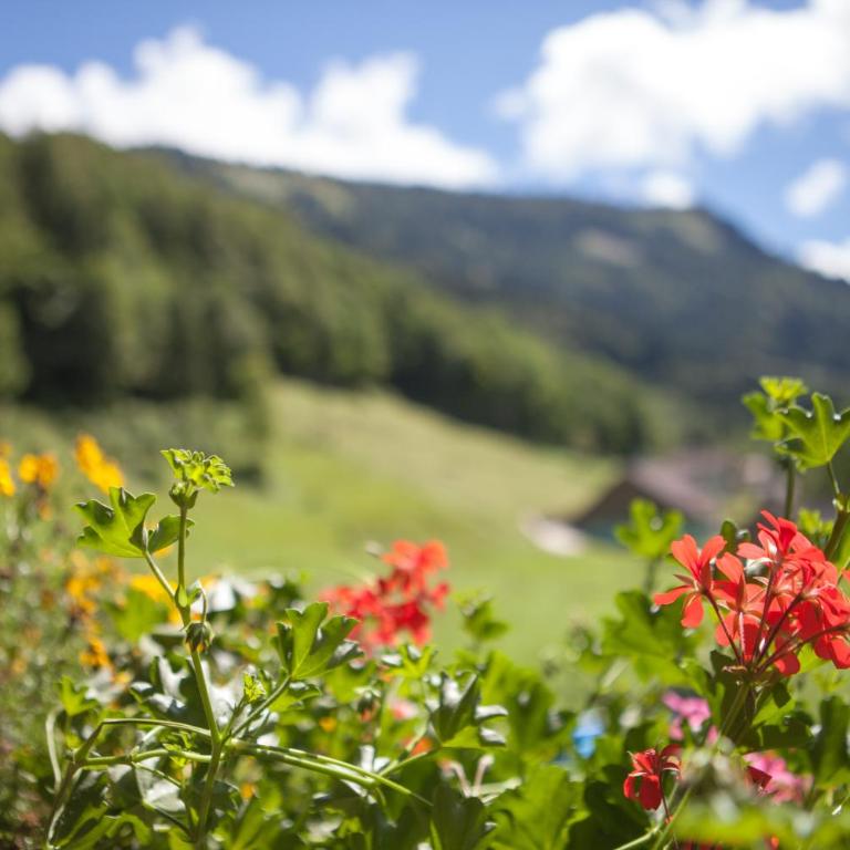 Bio-Bauernhof Vordergrubenbach - Familie Oberascher - Doppelzimmer mit Gartenblick - 2