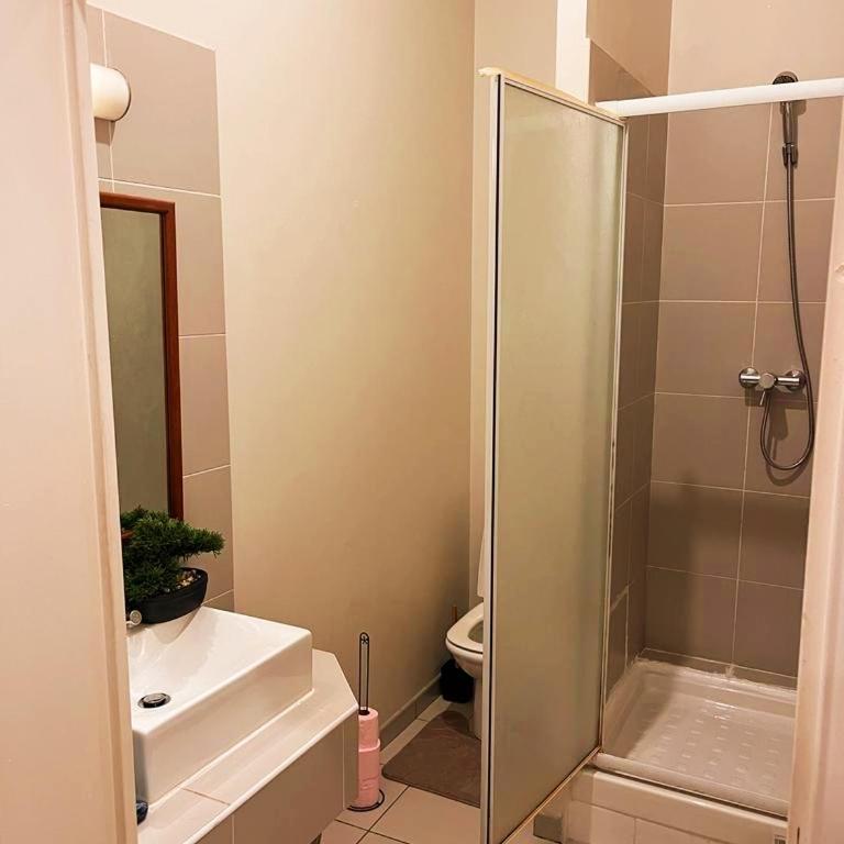 Appartemment RUE DE LA REPUBLIQUE, joli et moderne au coeur du centre - Appartement 1 Chambre - 21