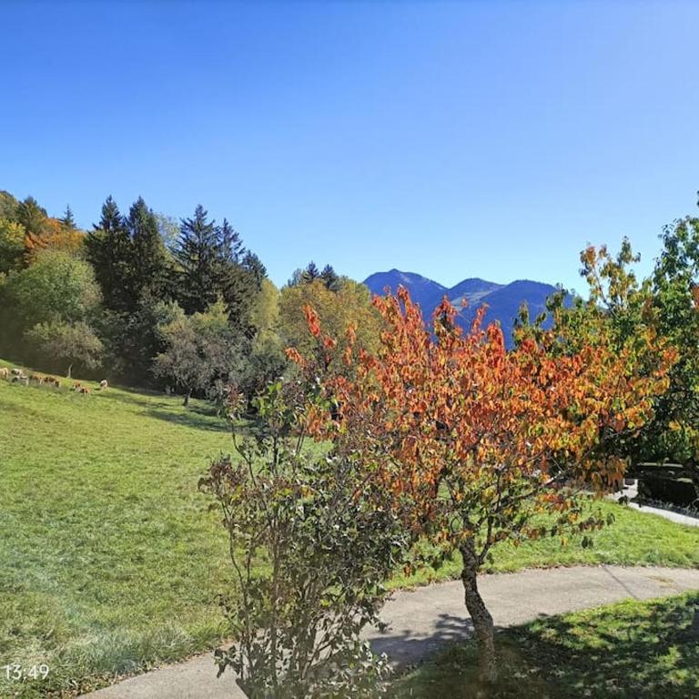 Gîte Cœur de Haute-Savoie - Maison 1 Chambre - 3