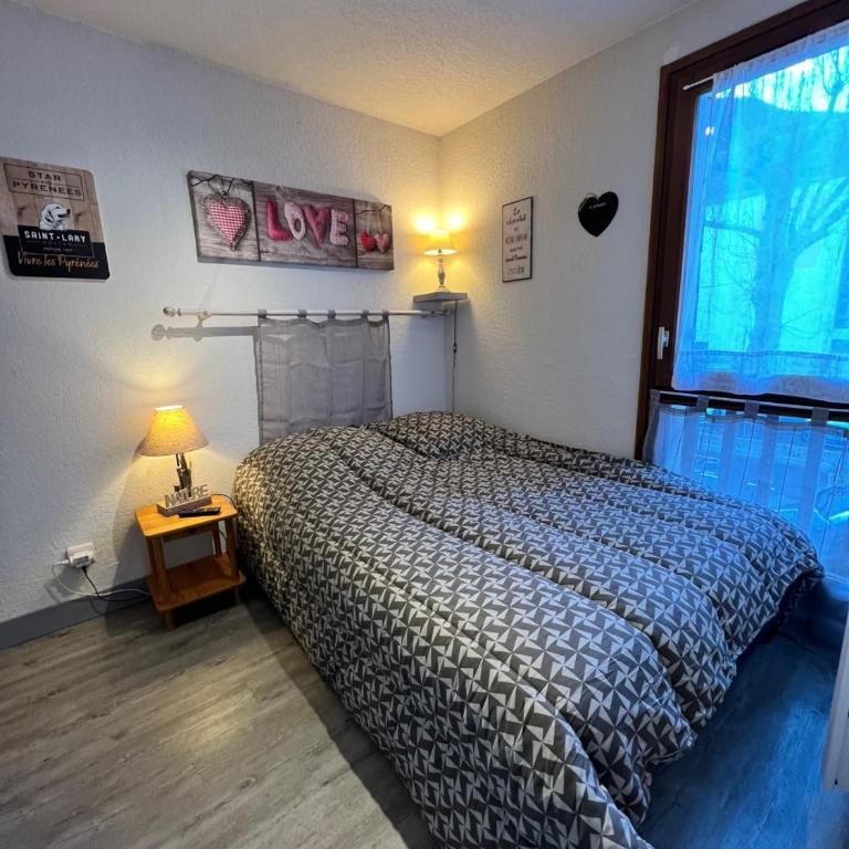 Appt T2 4 pers Saint Lary centre Village Parking - Appartamento con 1 Camera da Letto - 6