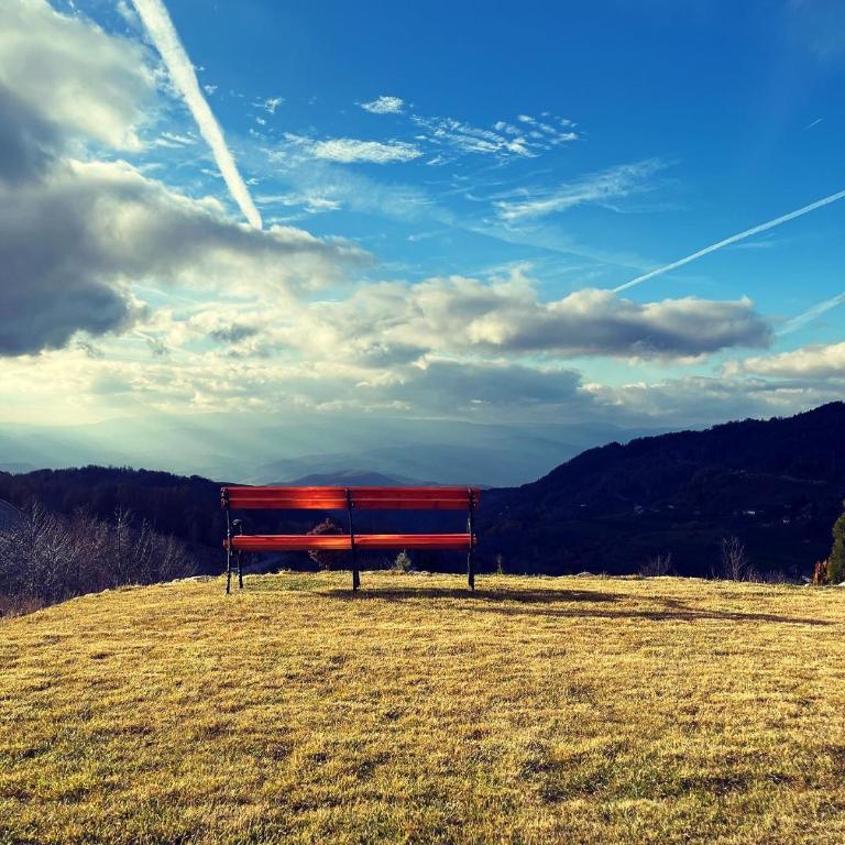 P20 Milmari, DeLuxe Studio, Kopaonik - Deluxe Studio - 40