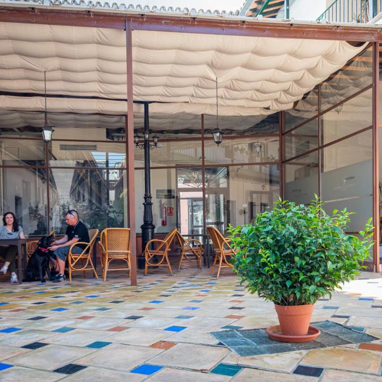 Hoteles del Sur - Apartamento Superior de 1 dormitorio - 41