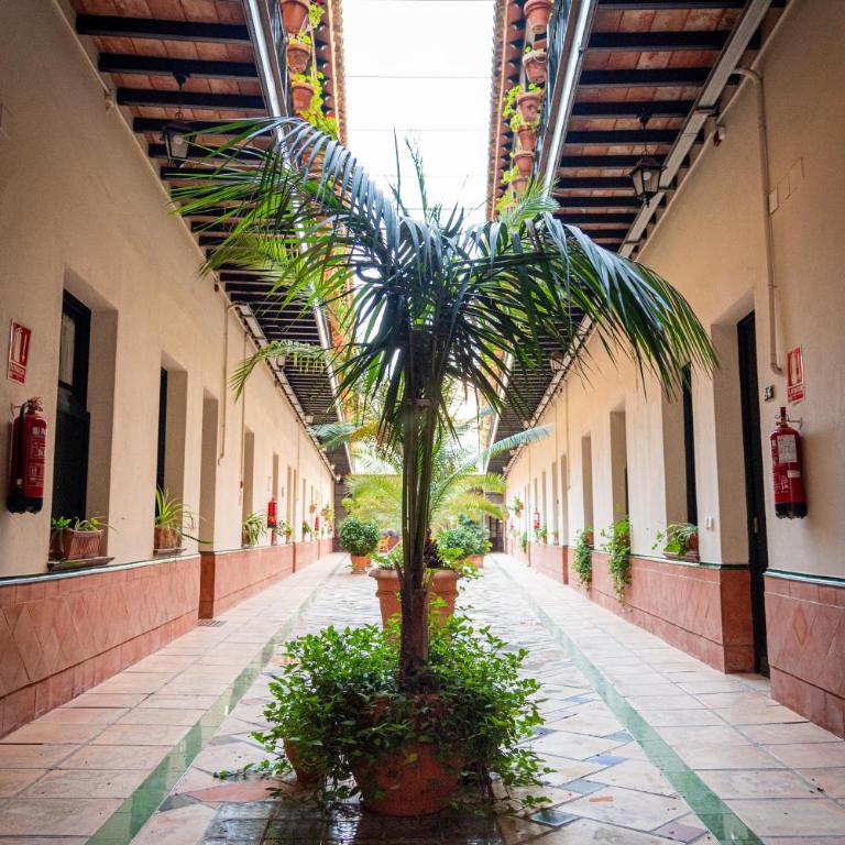Hoteles del Sur - Apartamento Superior de 1 dormitorio - 42