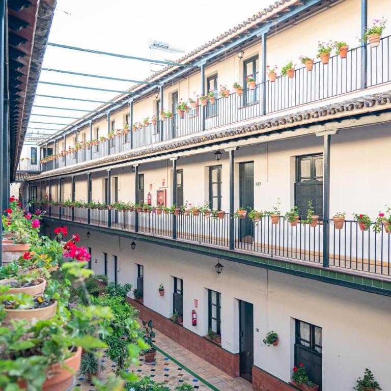 Hoteles del Sur - Apartamento Superior de 1 dormitorio - 33