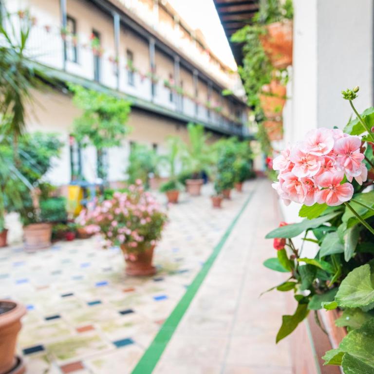 Hoteles del Sur - Apartamento Superior de 1 dormitorio - 46
