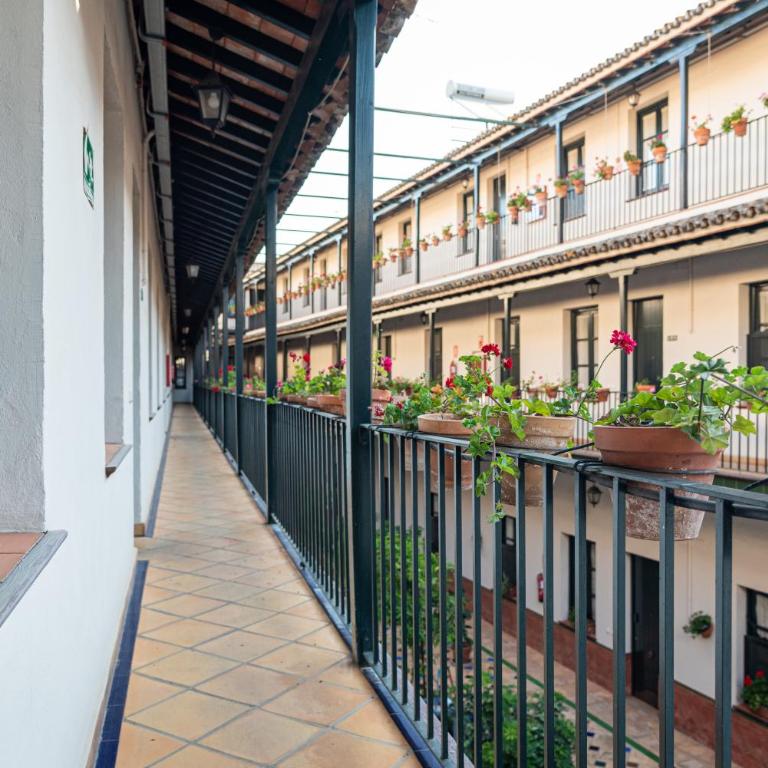 Hoteles del Sur - Apartamento Superior de 1 dormitorio - 47