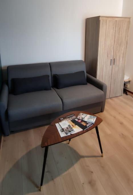 Studio Gare - Jardin des Plantes - wifi & calme - One-Bedroom Apartment - 9
