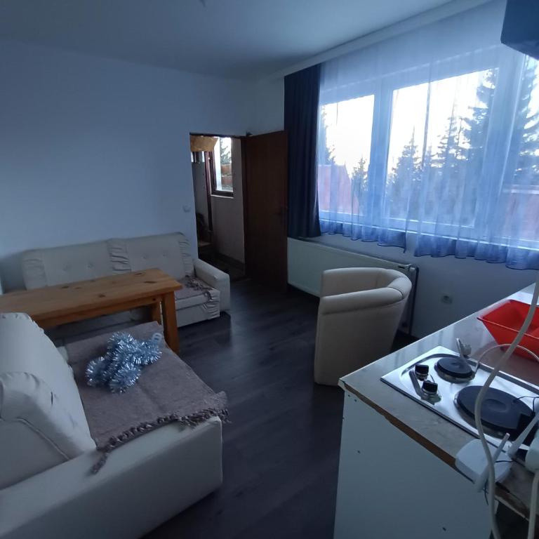 Kuca za odmor ''Djurovic'' - Apartment - 4