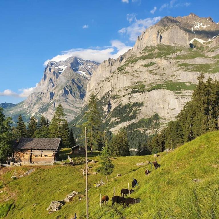 Chalet Eigernordwand - Apartment mit 2 Schlafzimmern - 15