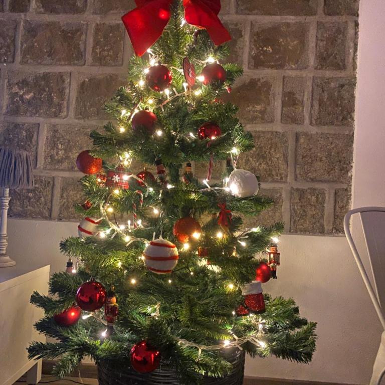 L'Albero della Vita - Casa con 1 Camera da Letto - 7