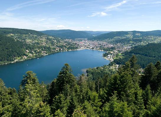 Beau duplex à proximité du lac de Gérardmer avec place de parking - Appartement 1 Chambre - 11