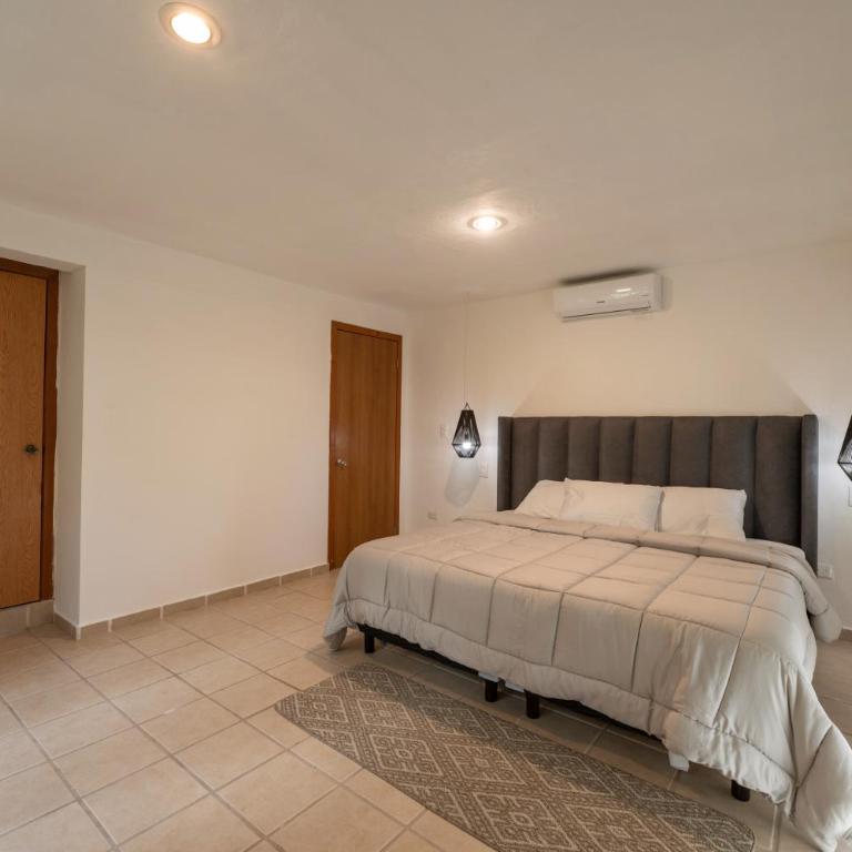 Hotel Caracol Puerto Morelos - Apartment - 14
